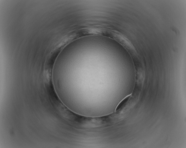 X0000114120329200910191728