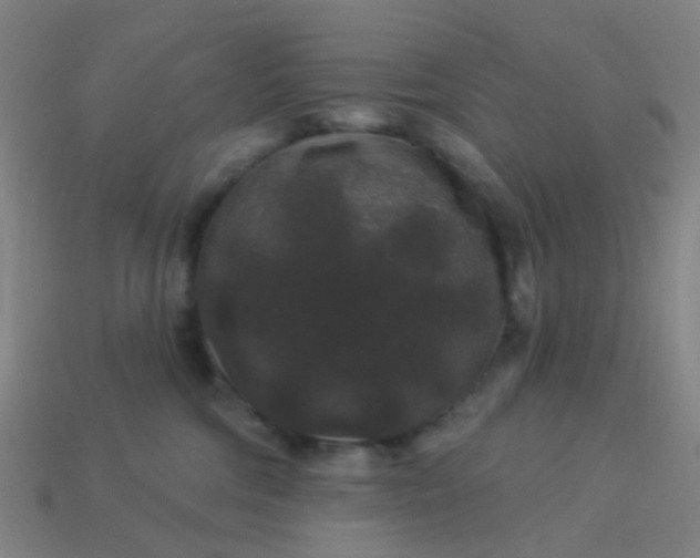 X0000114120330200910191728