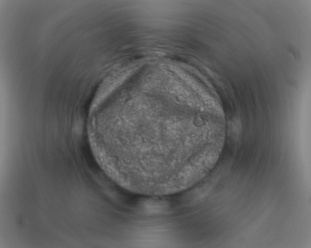 X0000114120331200910191728