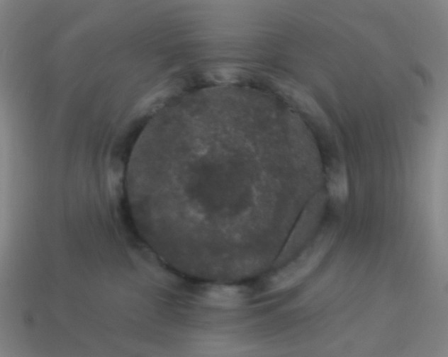 X0000114120332200910191728