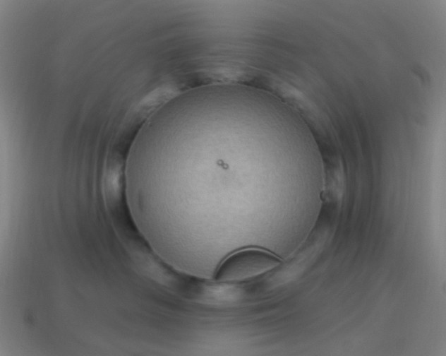 X0000114120334200910191728