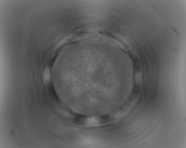 X0000114120335200910191728