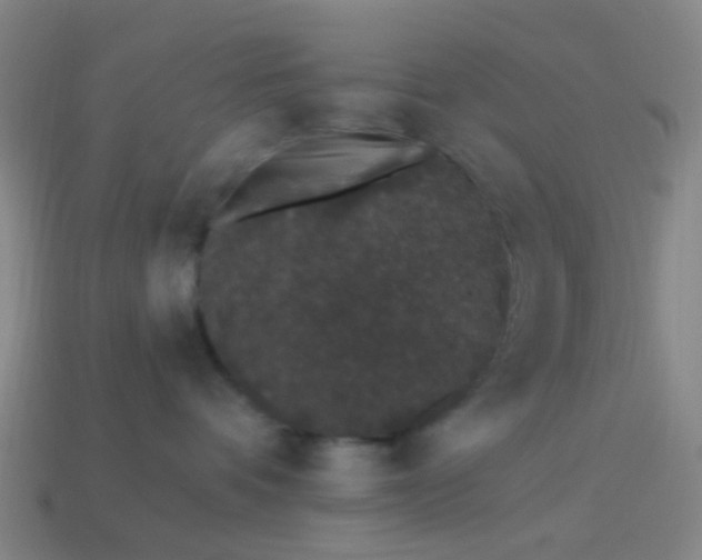 X0000114120336200910191728