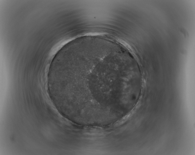 X0000114120337200910191728