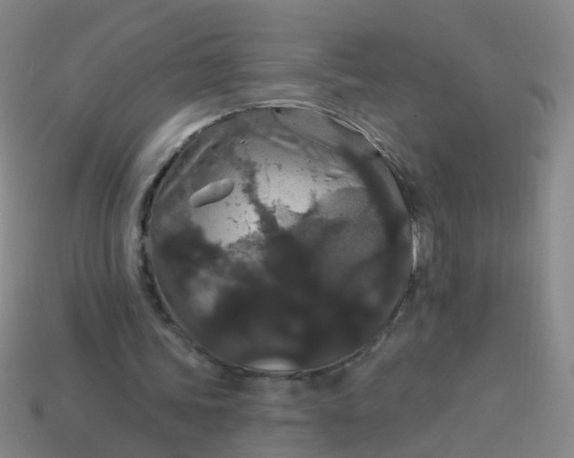 X0000114120339200910191728