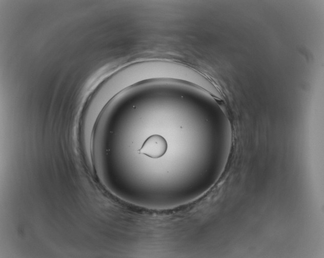 X0000114120340200910191728