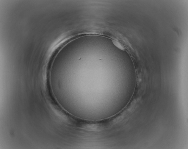 X0000114120344200910191728