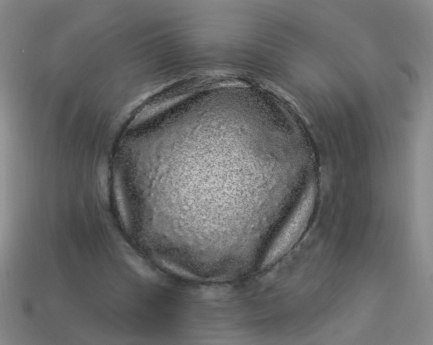 X0000114120345200910191728