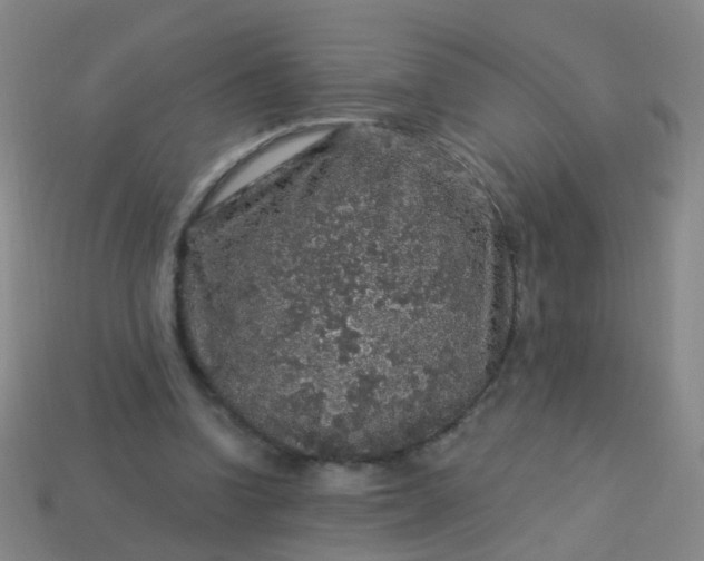 X0000114120346200910191728