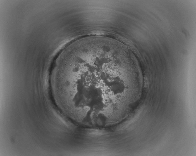 X0000114120347200910191728