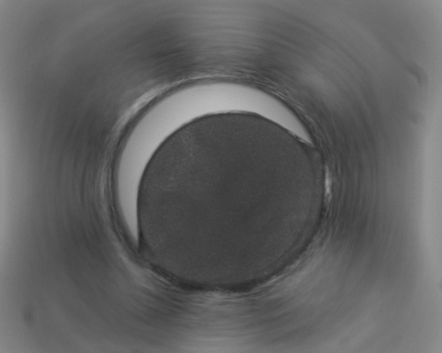 X0000114120348200910191728