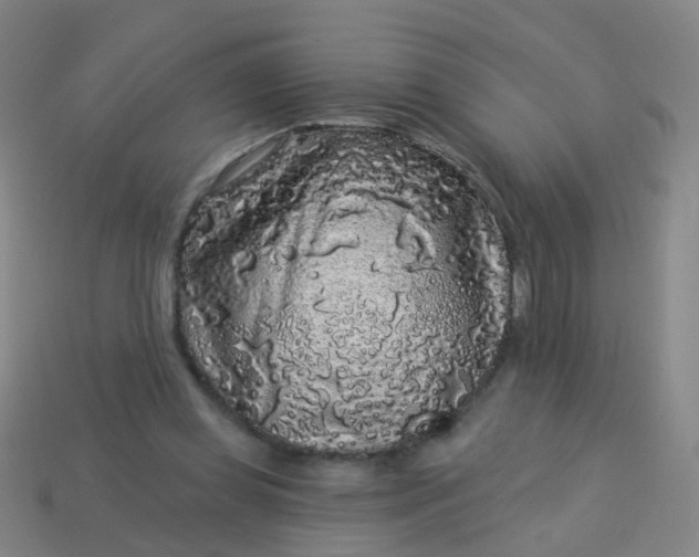 X0000114120349200910191728