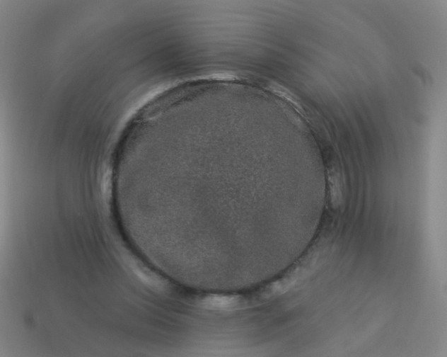 X0000114120350200910191728