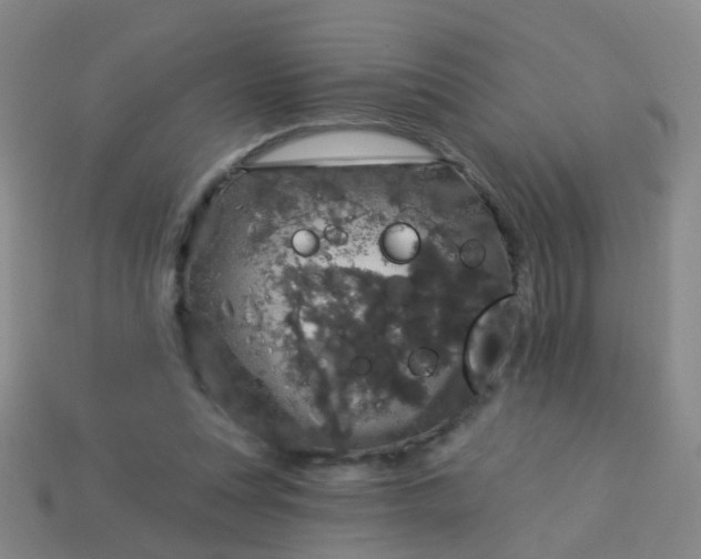 X0000114120351200910191728