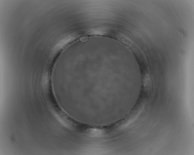 X0000114120352200910191728