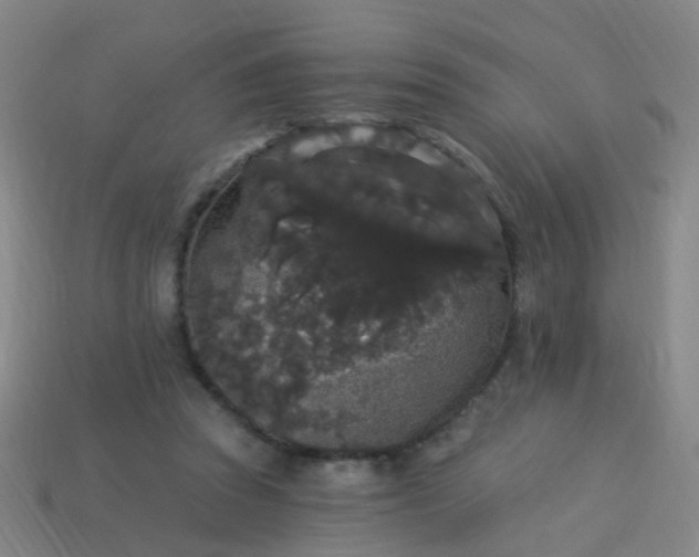 X0000114120353200910191728