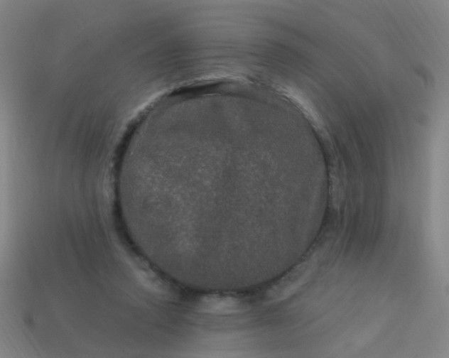 X0000114120354200910191728