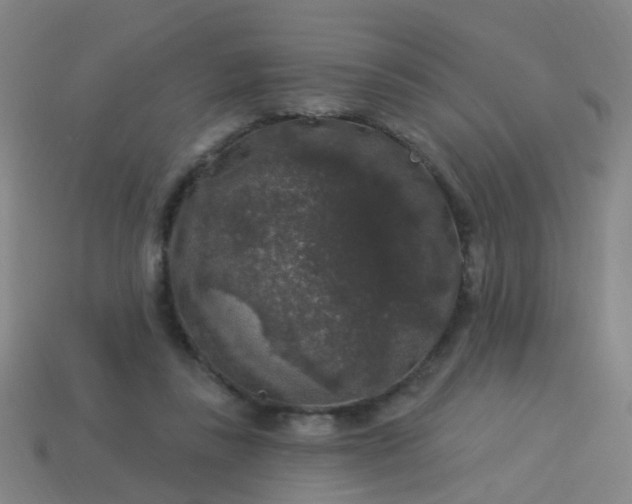 X0000114120355200910191728