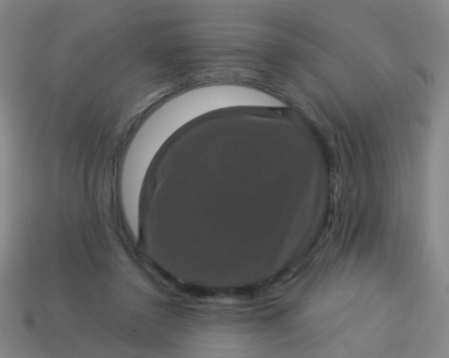 X0000114120356200910191728