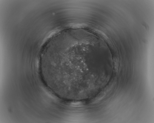 X0000114120357200910191728