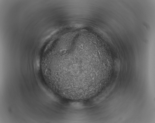 X0000114120358200910191728