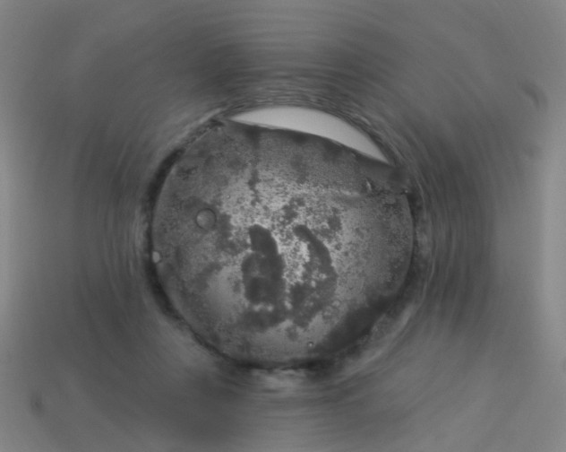 X0000114120359200910191728