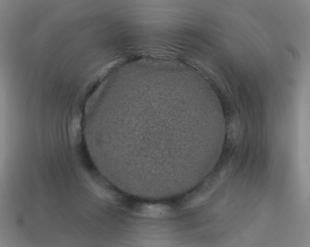 X0000114120360200910191728