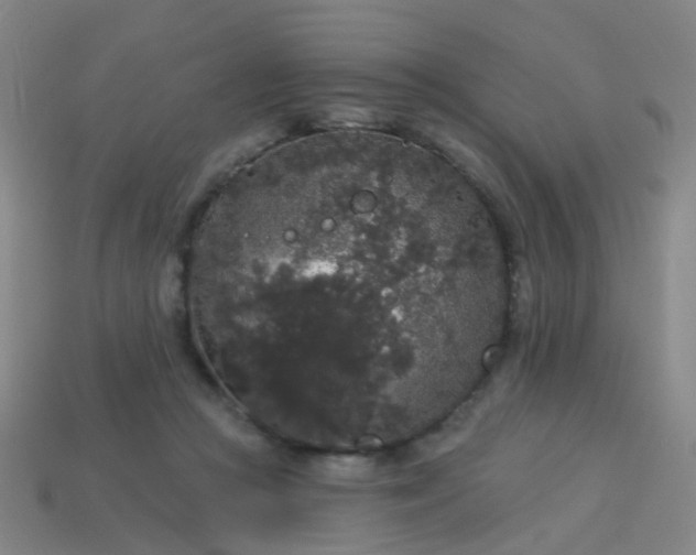 X0000114120361200910191728