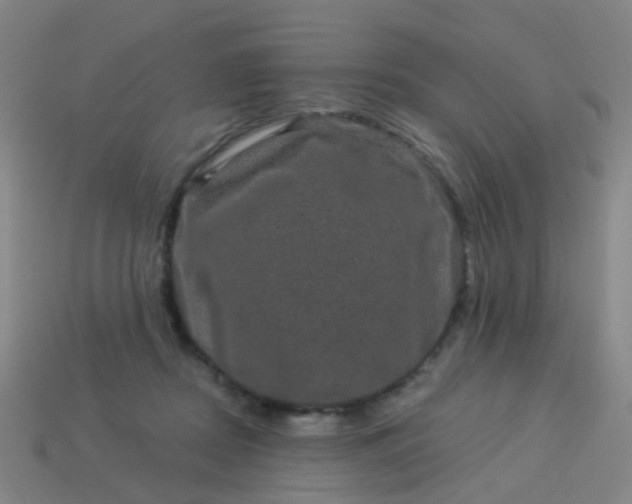 X0000114120362200910191728