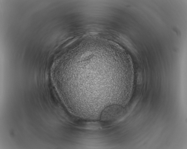 X0000114120363200910191728