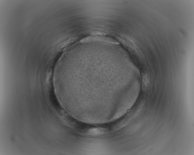 X0000114120364200910191728