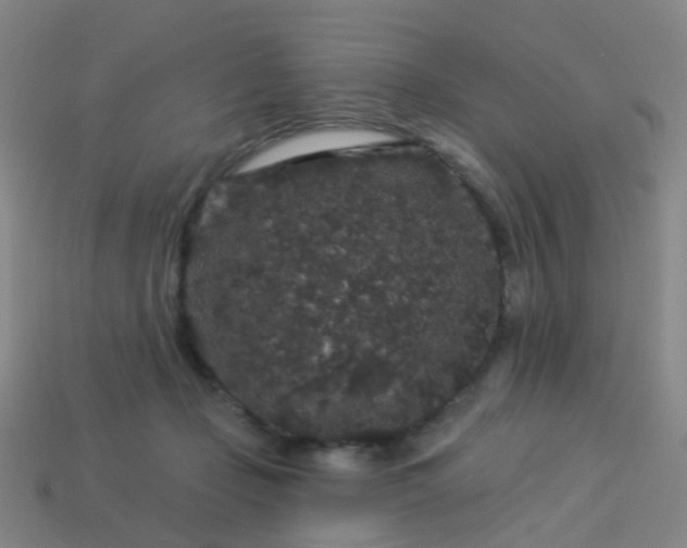 X0000114120365200910191728