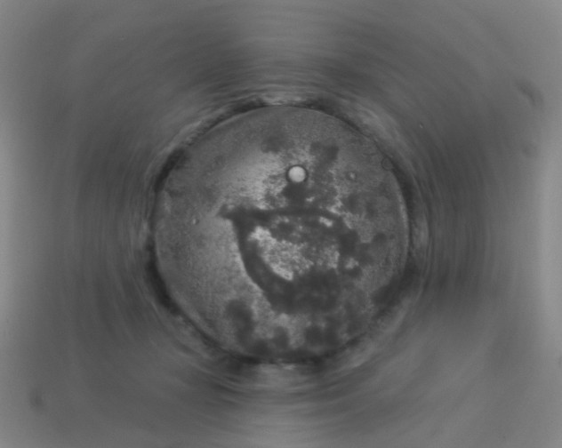 X0000114120367200910191728