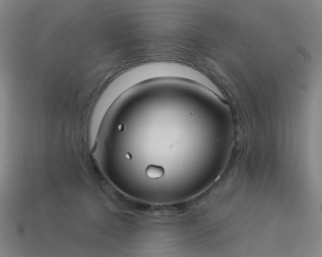 X0000114120368200910191728