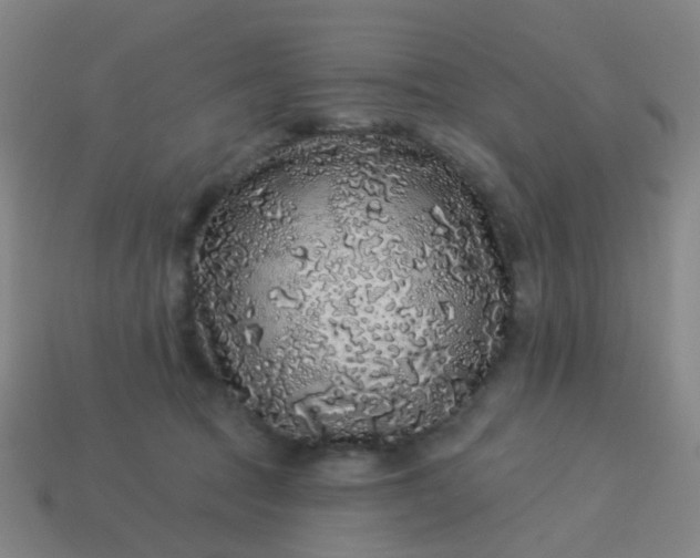 X0000114120369200910191728