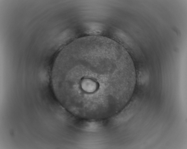 X0000114120370200910191728