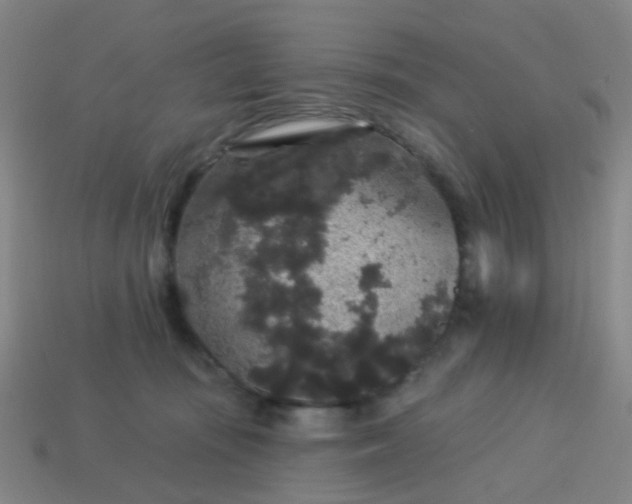 X0000114120371200910191728