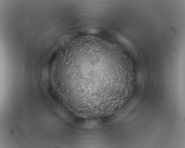 X0000114120373200910191728