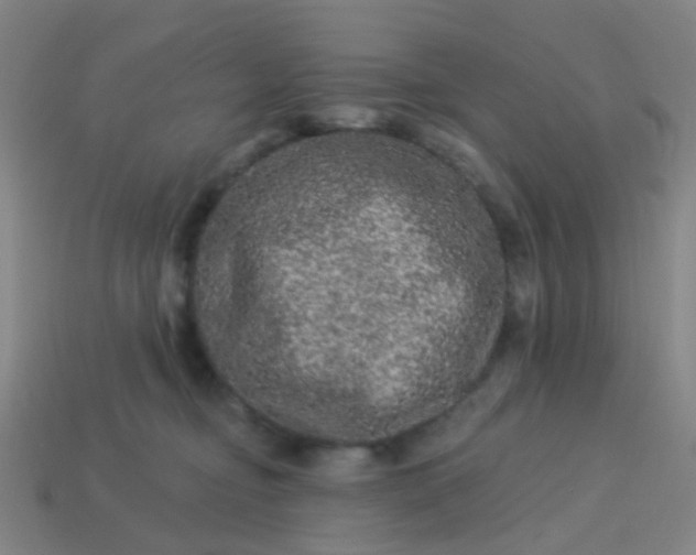 X0000114120374200910191728