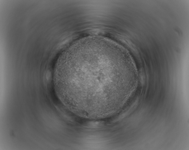 X0000114120375200910191728