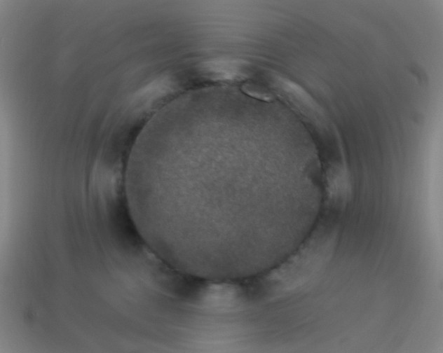 X0000114120376200910191728