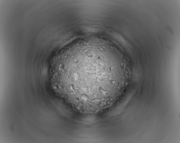 X0000114120377200910191728