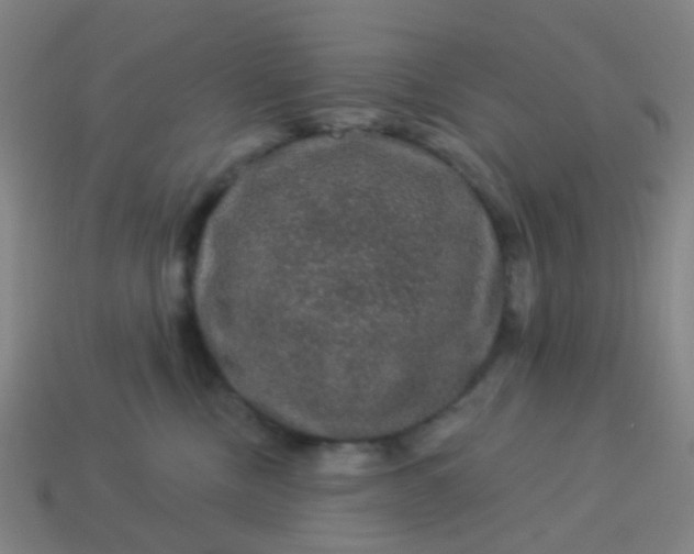 X0000114120378200910191728