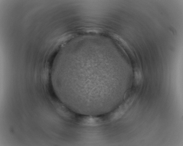 X0000114120379200910191728