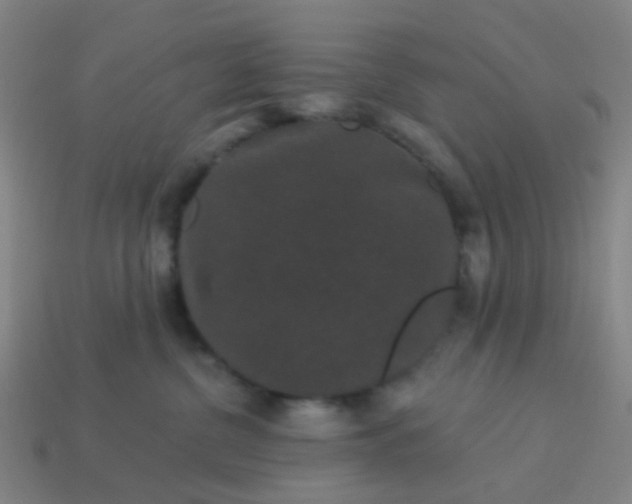 X0000114120380200910191728