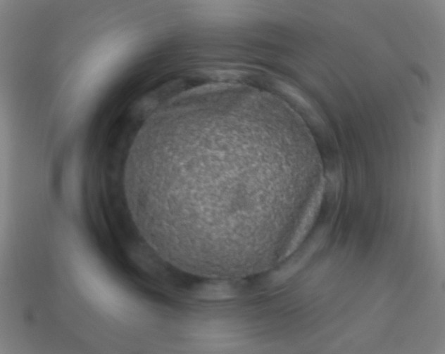 X0000114120381200910191728