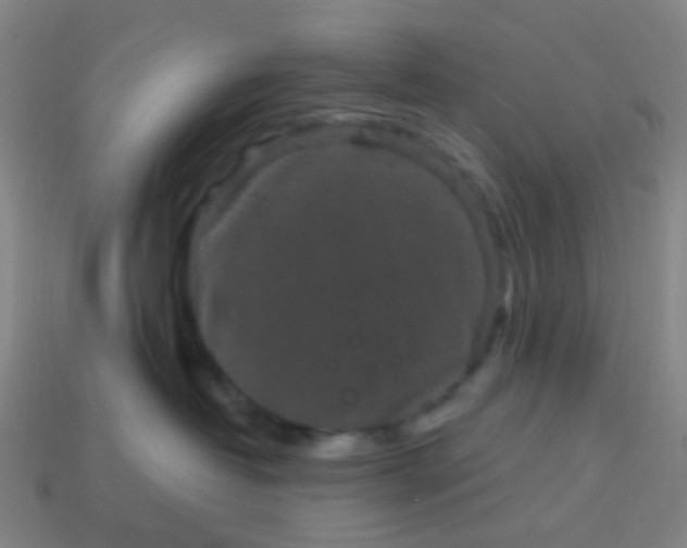 X0000114120382200910191728