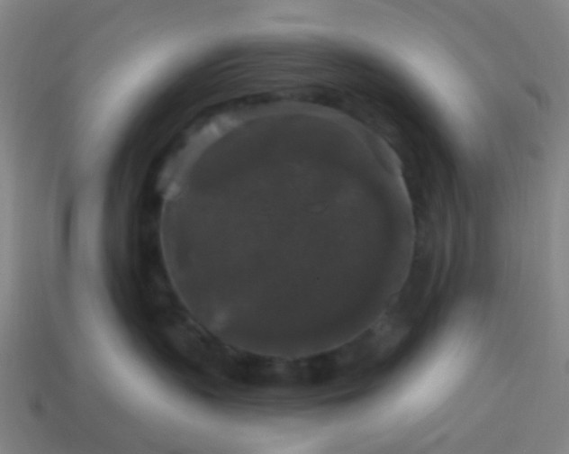 X0000114120383200910191728