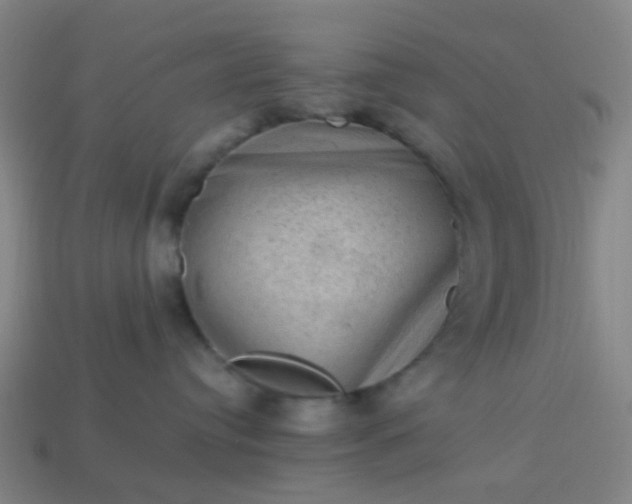 X0000114120384200910191728