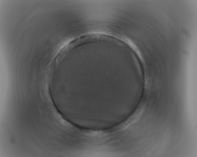 X0000114120385200910191728